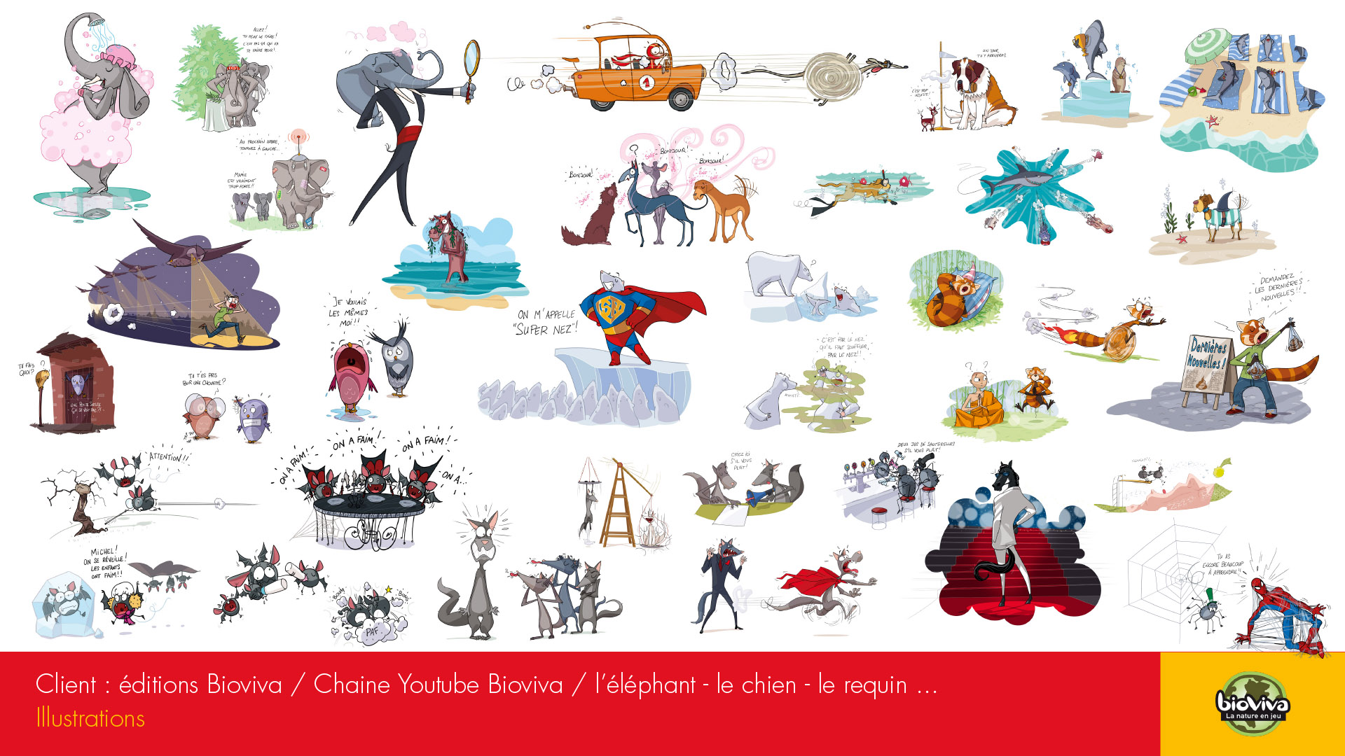 Illustrations chaîne YouTube Bioviva